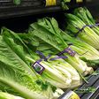 FILE - This Nov. 20, 2018 file photo shows Romaine Lettuce in Simi Valley, Calif.  U.S. health officials are telling people to avoid romaine lettuce grown in Salinas, Calif., Friday, Nov. 22, 2019,  as they investigate a food poisoning outbreak. They a...