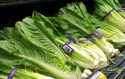 FILE - This Nov. 20, 2018 file photo shows Romaine Lettuce in Simi Valley, Calif.  U.S. health officials are telling people to avoid romaine lettuce grown in Salinas, Calif., Friday, Nov. 22, 2019,  as they investigate a food poisoning outbreak. They a...