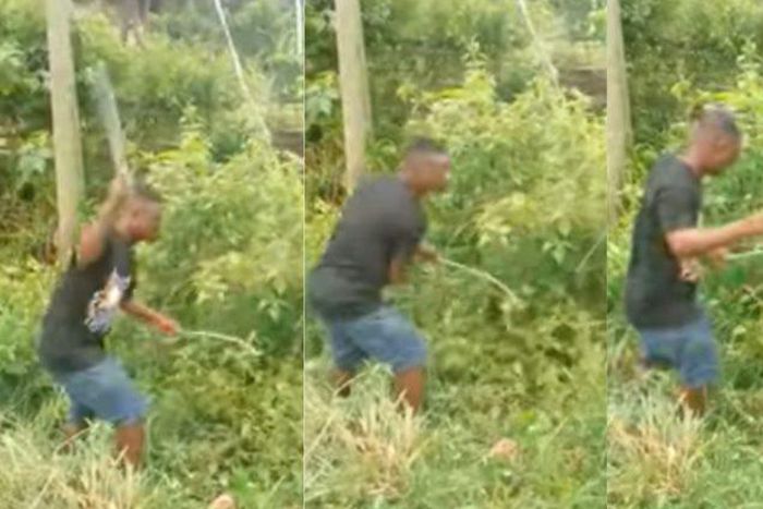 Bibiani residents give 'thief' bushy acres of land to clear to avoid being lynched