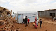 United Nations High Commissioner for Refugees (UNHCR)