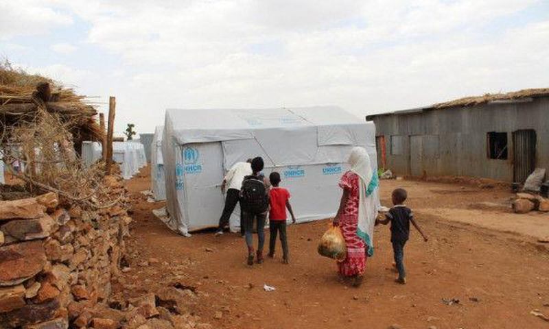 United Nations High Commissioner for Refugees (UNHCR)