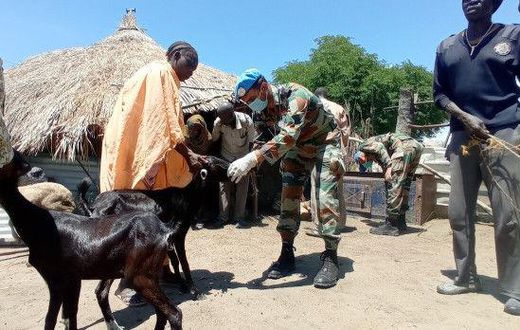 United Nations Mission in South Sudan (UNMISS)