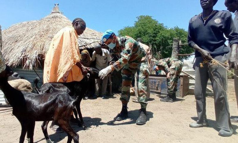 United Nations Mission in South Sudan (UNMISS)