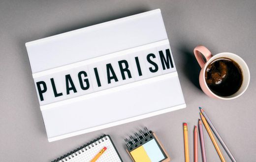 CEO of fact-checking site caught plagiarising dozens of articles