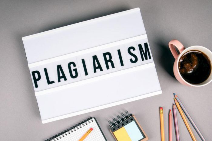 CEO of fact-checking site caught plagiarising dozens of articles