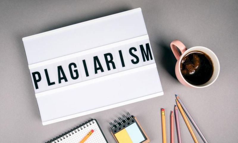 CEO of fact-checking site caught plagiarising dozens of articles