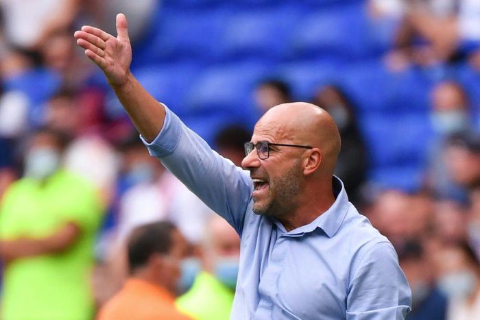 Lyon's Peter Bosz has had coaching spells in charge of Ajax and Borussia Dortmund