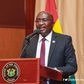 Vice President Dr. Bawumia