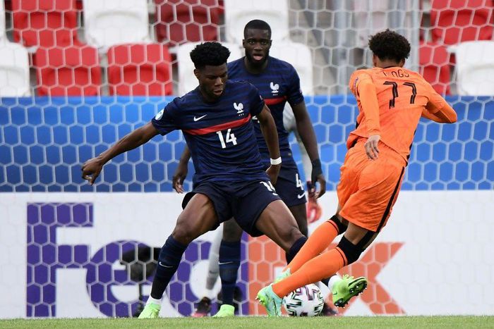 Abused: France midfielder Aurelien Tchouameni (left)