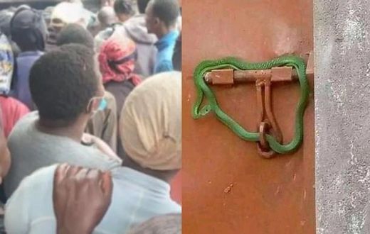 Landlord locks gate with live snake to prevent rent-owing tenants from entering
