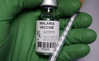 A vial of the malaria vaccine