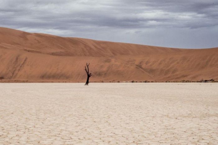 International Atomic Energy Agency (IAEA)