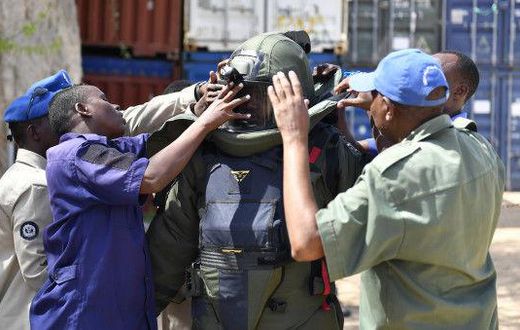 United Nations Mine Action Service (UNMAS)
