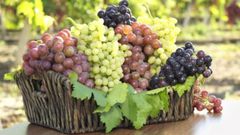 Grapes