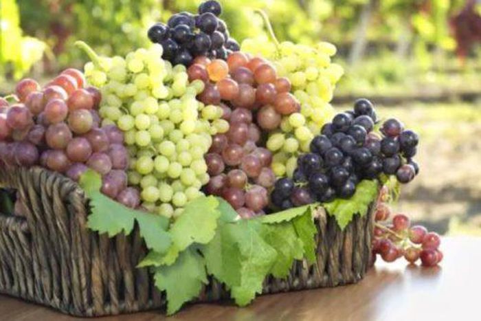 Grapes