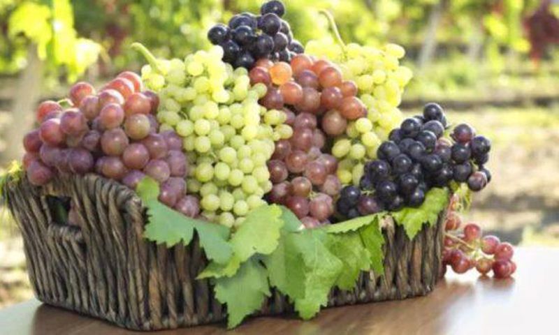 Grapes