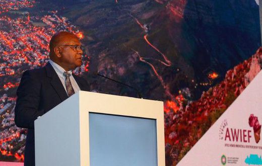 Africa Women Innovation and Entrepreneurship Forum (AWIEF)