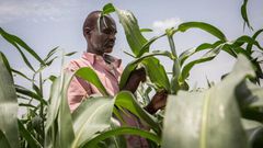 Food and Agriculture Organization (FAO)