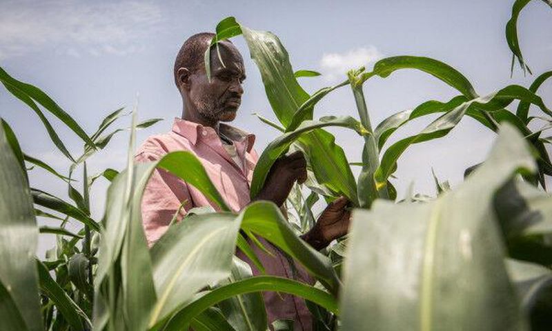 Food and Agriculture Organization (FAO)