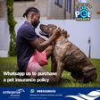 Pet Insure: A first of its kind policy in Ghana by Enterprise Insurance & KEK Brokers