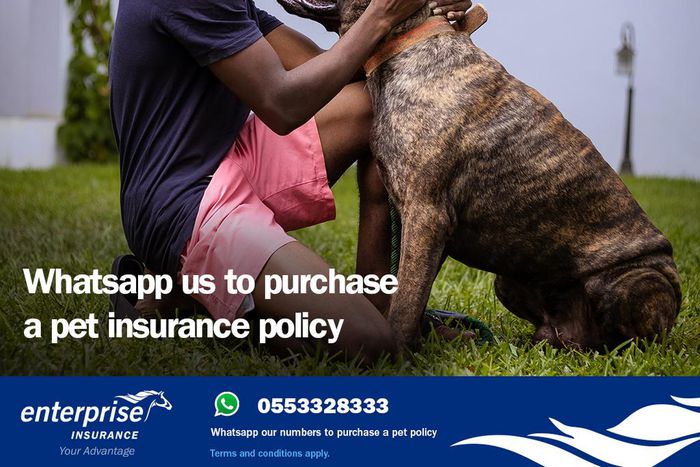 Pet Insure: A first of its kind policy in Ghana by Enterprise Insurance & KEK Brokers
