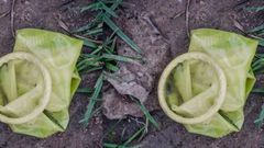 Used condoms blocking sewage lines at Ghana’s Law Court complex - Judicial Service