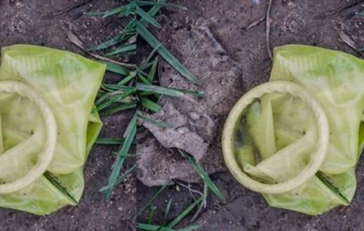 Used condoms blocking sewage lines at Ghana’s Law Court complex - Judicial Service