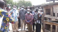 Over GHC1 billion spent on fertiliser import for painting for food & jobs