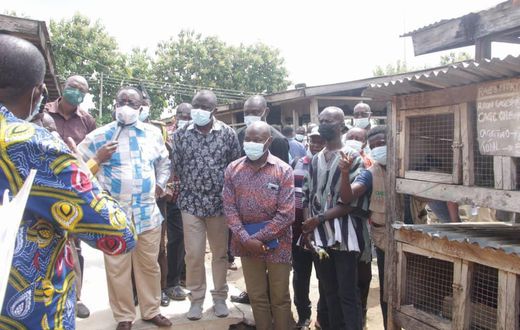 Over GHC1 billion spent on fertiliser import for painting for food & jobs