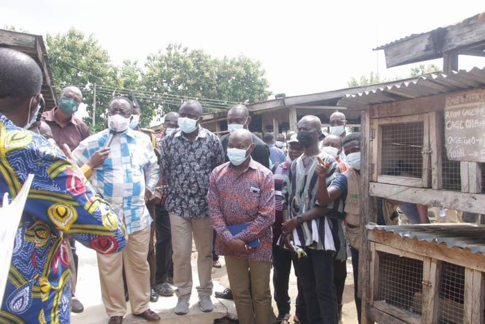 Over GHC1 billion spent on fertiliser import for painting for food & jobs