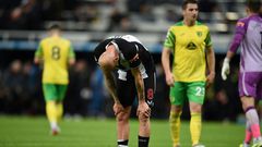 Newcastle are still yet to win this season after a 1-1 draw with Norwich