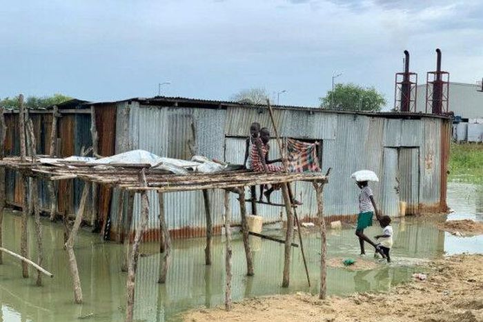 United Nations High Commissioner for Refugees (UNHCR)