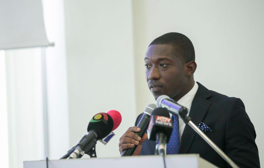 he Deputy Minister of Trade and Industry, Herbert Krapa