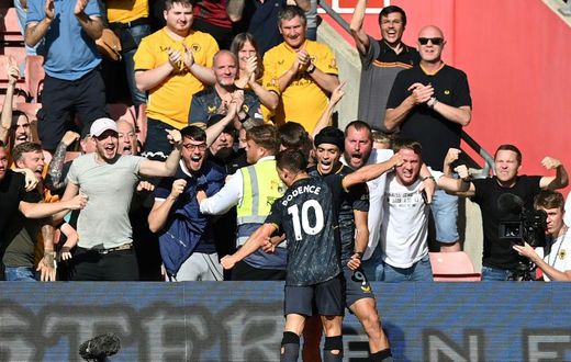 Wolves forward Raul Jimenez celebrates scoring against Southampton