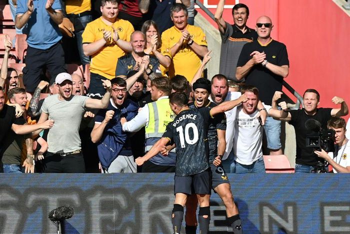 Wolves forward Raul Jimenez celebrates scoring against Southampton