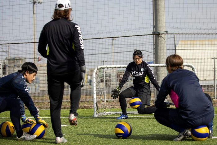 The new league's organisers hope it will bring prestige and fresh talent to Japanese clubs