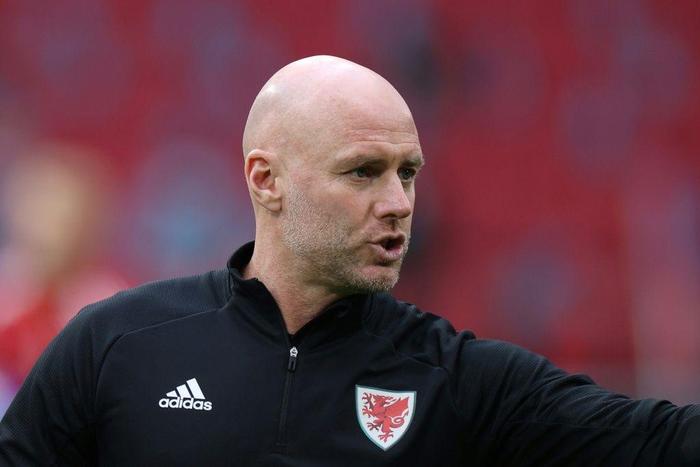 Wales manager Robert Page