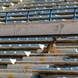 Lebanon's top football stadium once hosted some of the world's best players, but today it has become a neglected, blast-hit arena