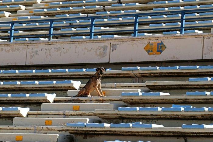 Lebanon's top football stadium once hosted some of the world's best players, but today it has become a neglected, blast-hit arena