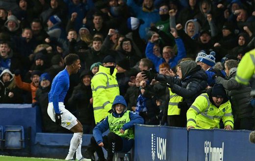 Demarai Gray (left)scored Everton's stoppage time winner against Arsenal