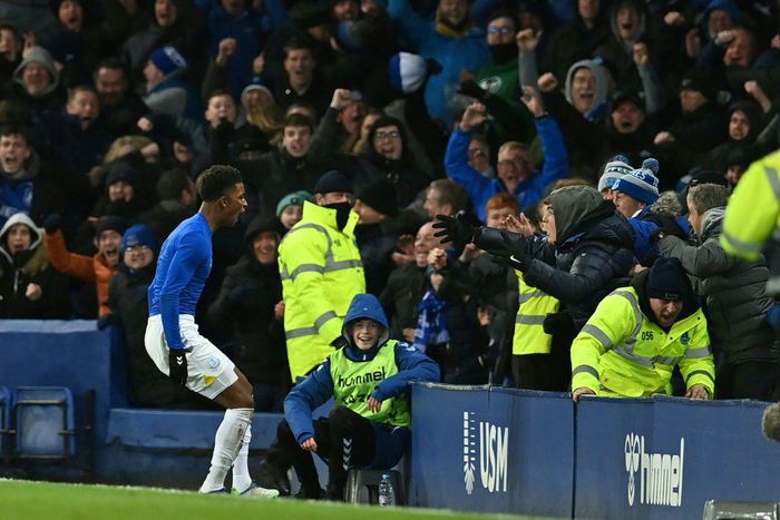 Demarai Gray (left)scored Everton's stoppage time winner against Arsenal