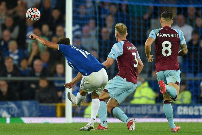 Wonder strike: Andros Townsend (left) put Everton in front