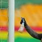 The Premier League has been hit by a wave of coronavirus cases among squads