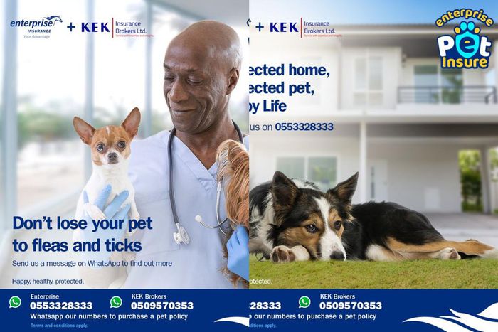 Pet Insurance now available in Ghana following Enterprise Insurance & KEK Insurance Brokers partnership