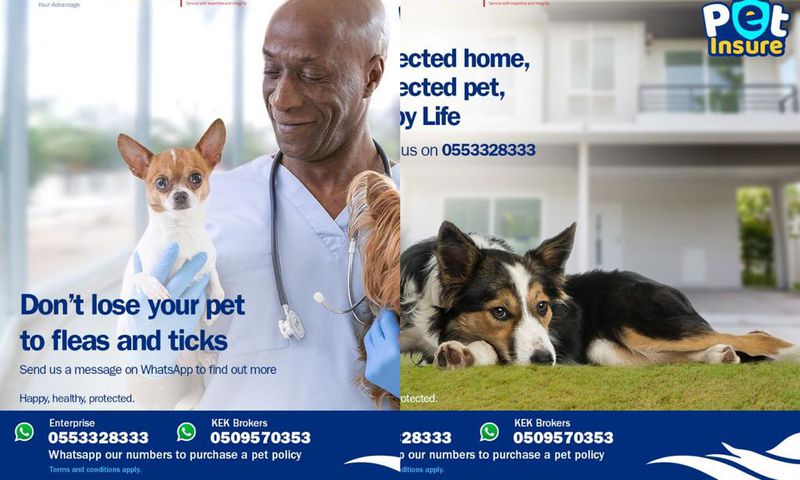 Pet Insurance now available in Ghana following Enterprise Insurance & KEK Insurance Brokers partnership