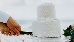 A couple cuts their wedding cake.