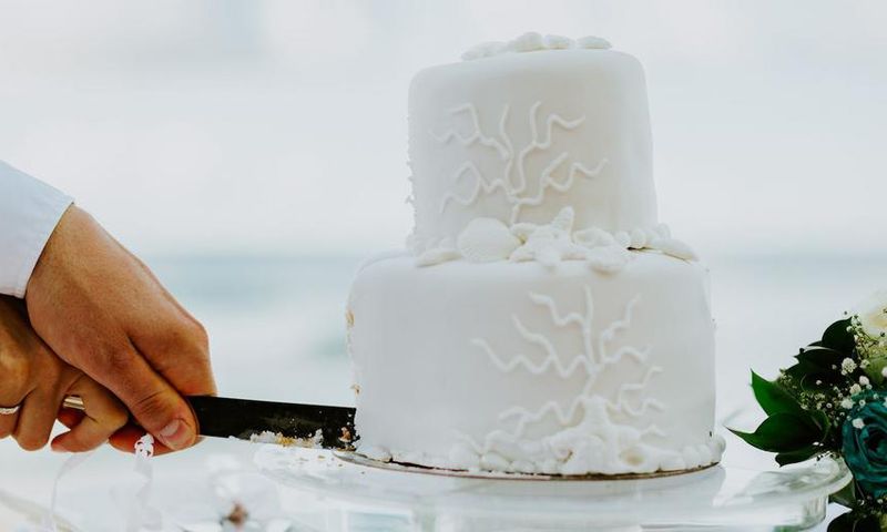 A couple cuts their wedding cake.