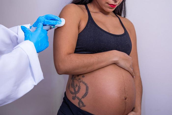 A recent preprint study found that Pfizer's and Moderna's coronavirus vaccines provided protection to pregnant women and their babies.
