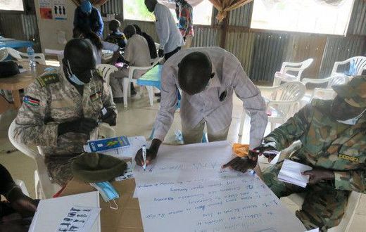 United Nations Mission in South Sudan (UNMISS)