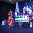 220,000 jobs for illegal miners through NAELP